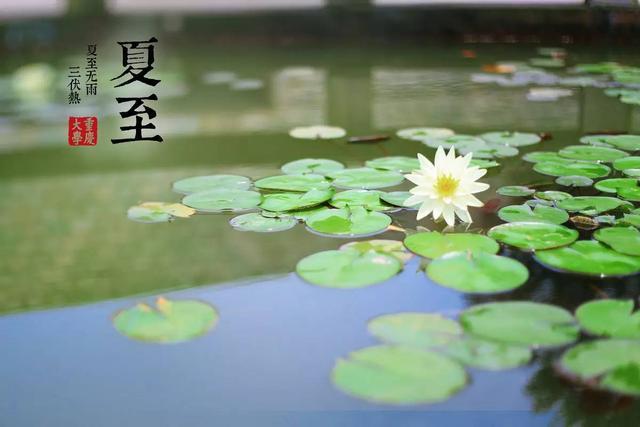 今天是夏至吗？探寻夏至的意义与背后的文化，夏至探寻，意义与文化背后的故事