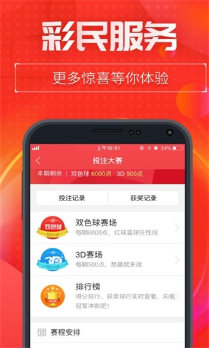 王中王一肖二码中特，探索彩票背后的秘密与魅力，彩票背后的秘密与魅力，王中王一肖二码中特探索