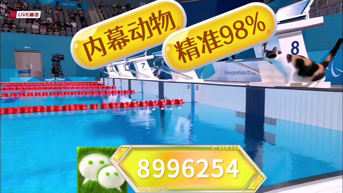 澳门今晚开奖预测与探讨——以博彩文化为视角，澳门博彩文化视角下的今晚开奖预测与探讨