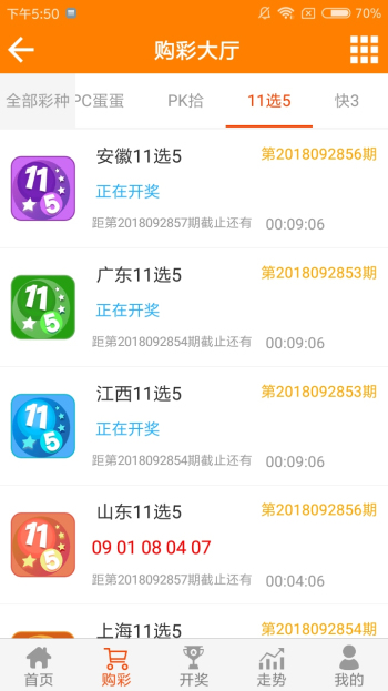 王中王平特一肖必出，探索成功背后的秘密，探索成功背后的秘密，王中王平特一肖必出之路