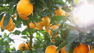 今日信丰新闻大事纪实，信丰新闻大事纪实报道今日要闻