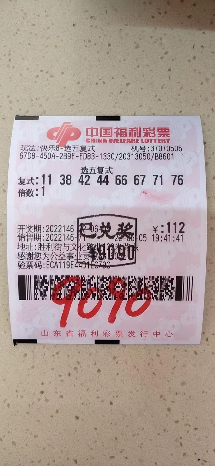 揭秘007期王中王平特一肖背后的故事，揭秘王中王平特一肖背后的故事，深度解析第007期内幕