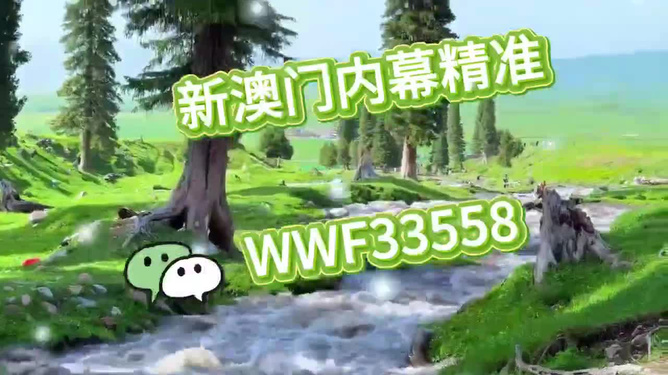 特马王中王一肖一马，传奇与荣耀的交织，特马王中王一肖一马，传奇荣耀交织之际
