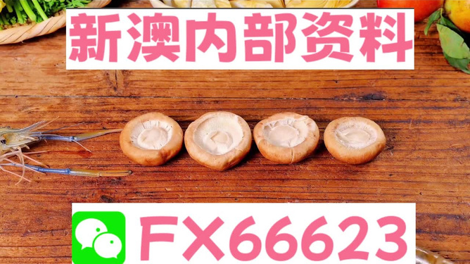 新澳全年免费资料大全