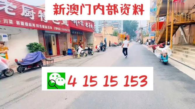 新澳门天天开好彩，开奖记录与彩票文化深度解析，澳门彩票文化深度解析与开奖记录揭秘