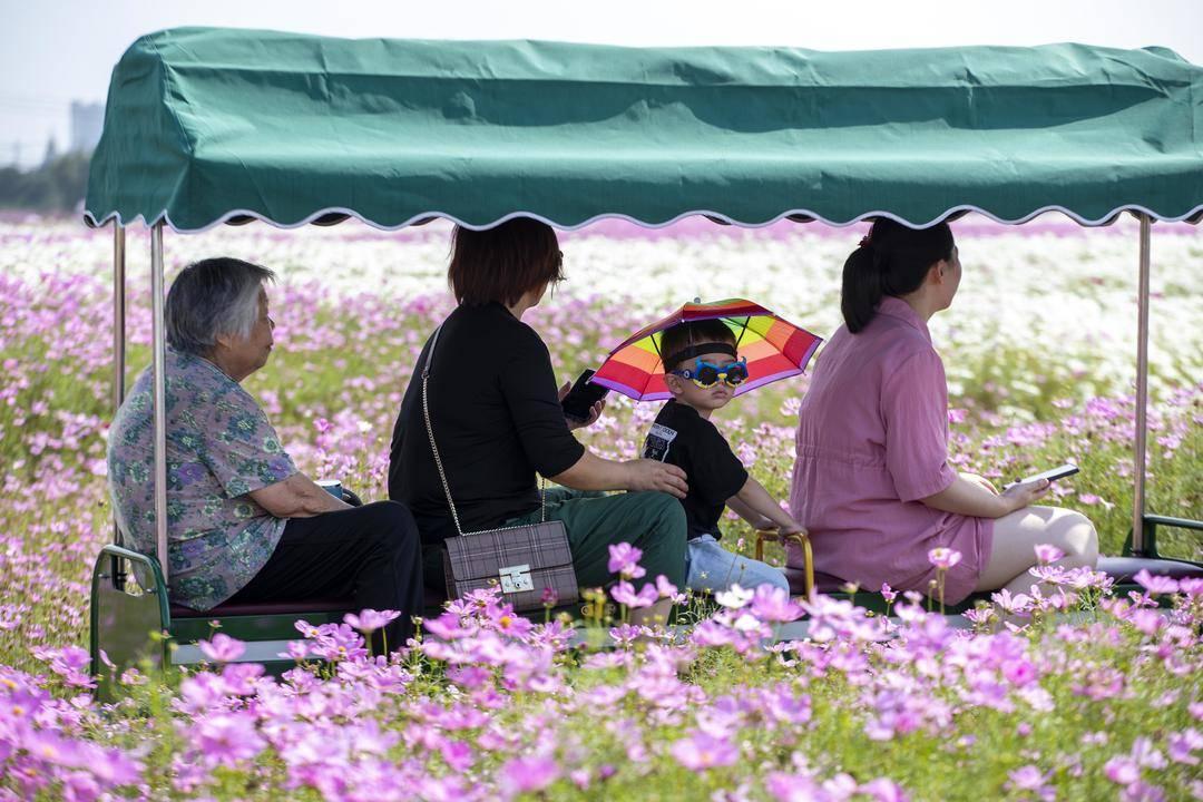 泰州海军舰艇文化园门票详解，泰州海军舰艇文化园门票信息及游玩指南