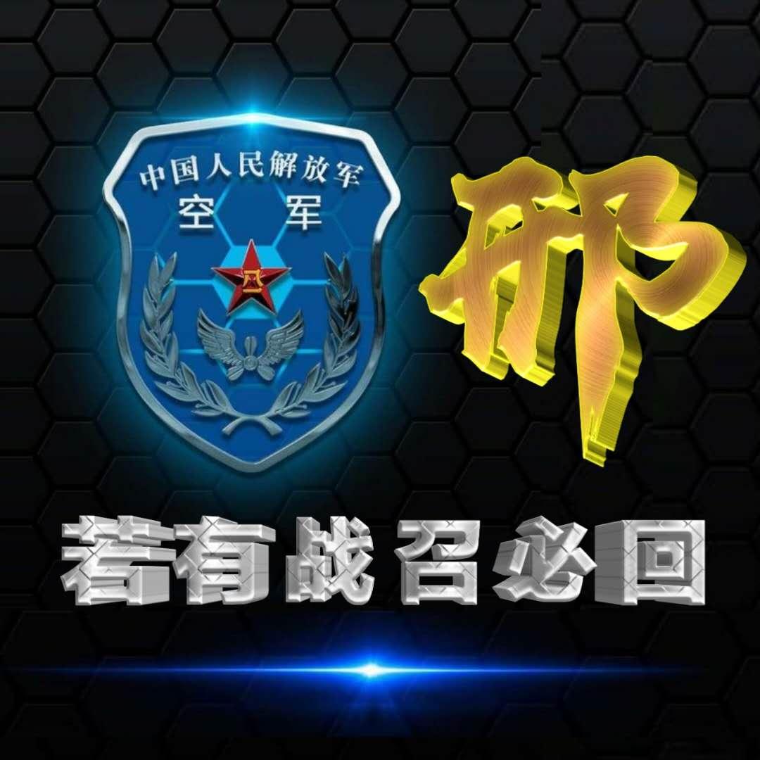 空军图片头像，展现力量与荣耀的象征，空军图片头像，力量与荣耀的象征