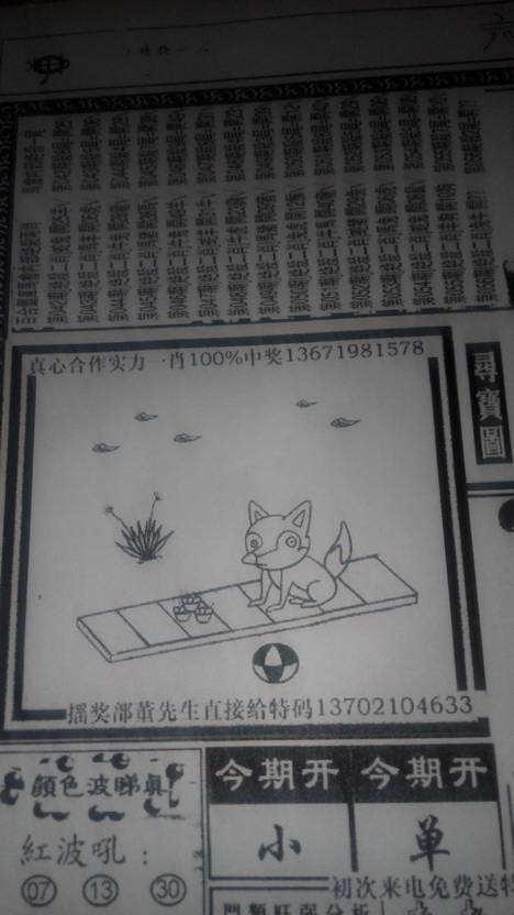 买一注猜生肖，探索生肖彩票的魅力与挑战，生肖彩票的魅力与挑战，一注探索之旅