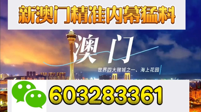 新澳门今晚开特马探析，澳门今晚特马开彩深度解析