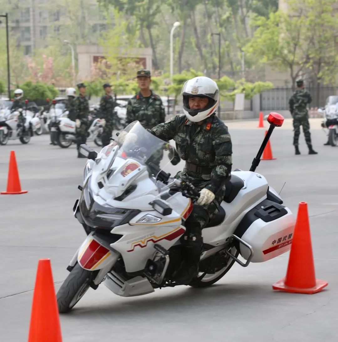 烟台领航国宾护卫队，护卫荣耀，铸就传奇，烟台领航国宾护卫队，荣耀护卫，传奇铸就