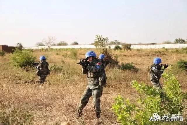 非洲女兵阅兵图片，力量与荣耀的象征，非洲女兵阅兵风采，力量与荣耀的象征