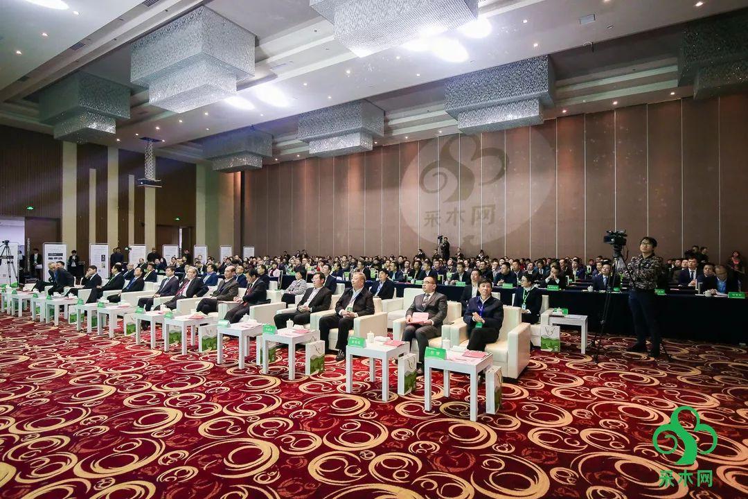 关于社保新闻发布会的深度探讨，社保新闻发布会深度解读，政策动向与社会保障进展
