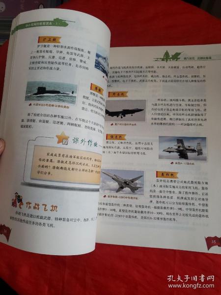 国防教育知识读本（中小学版）——培养新时代少年的国防意识，国防教育知识读本（中小学版），培养新时代少年的国防意识启蒙