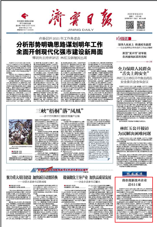 今日特大新闻摘抄内容视频，揭示新闻背后的故事与真相，揭秘新闻背后的真相与故事，今日新闻特写视频报道