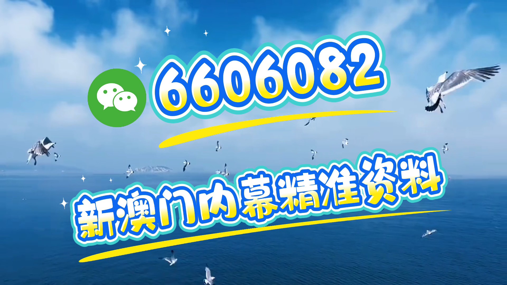 探索未来的新澳门，天天免费谜语题库的魅力与挑战（2025展望），探索新澳门未来，天天免费谜语题库的机遇与挑战（展望2025）