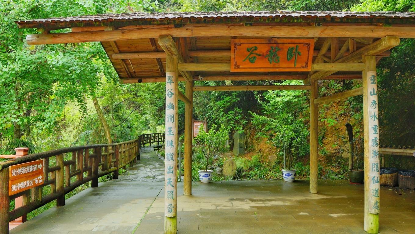管家婆老家丫的故事，数字背后的温情与记忆，管家婆与老家丫，温情记忆背后的数字故事