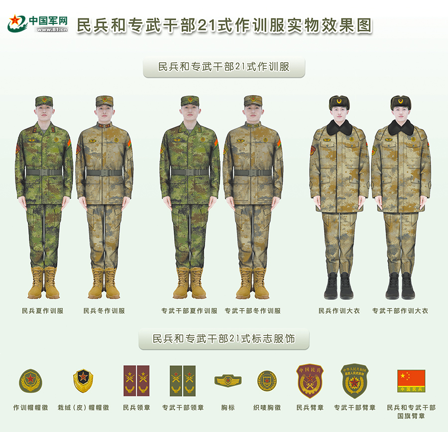 揭秘21式专武干部肩章，荣誉与责任的象征，揭秘，21式专武干部肩章——荣誉与责任的标志
