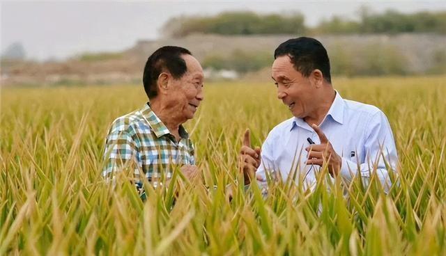 解放军缔造者与创始人的区别，解析概念差异与角色定位，解放军缔造者与创始人，概念差异与角色定位深度解析
