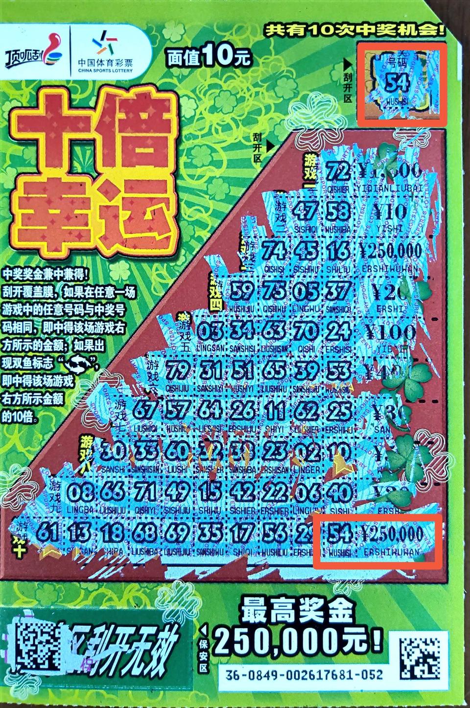 揭秘平特一肖买100中的秘密，概率与收益的深度解析，揭秘平特一肖买彩票中的秘密，概率与收益深度解析