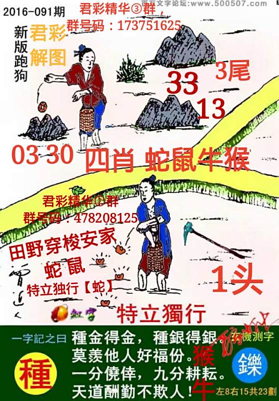 探索精准跑狗图，神秘的数字组合77777与88888的魅力，精准跑狗图揭秘，神秘数字组合77777与88888的魅力探索