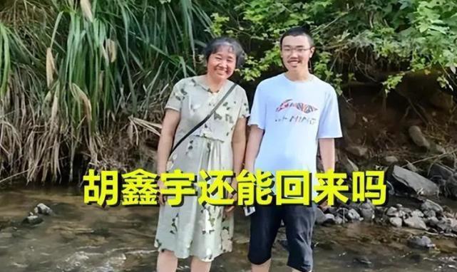 胡鑫宇事件最新消息全面解析，胡鑫宇事件最新动态全面解析