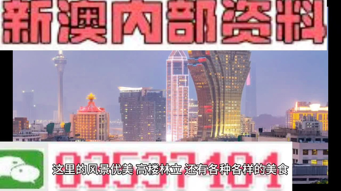 新澳内部期期精准，深度解析与前瞻性展望，新澳内部深度解析与前瞻性展望，精准洞察未来趋势