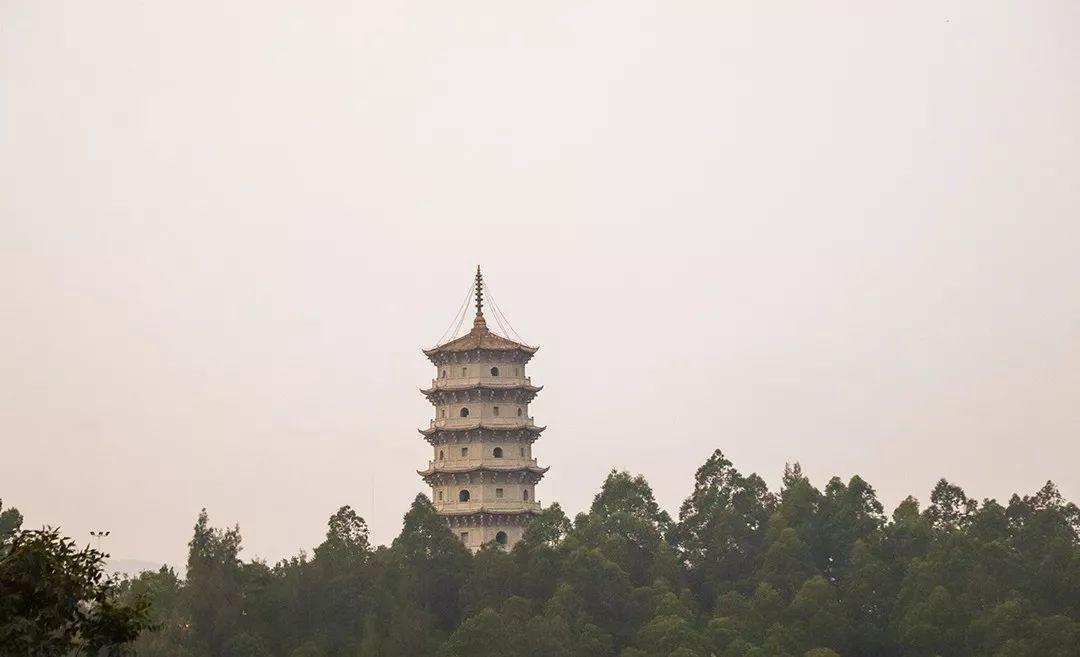 泉州一日游最佳路线图，探寻千年古城的魅力之旅，泉州一日游，探寻千年古城魅力之旅的最佳路线图