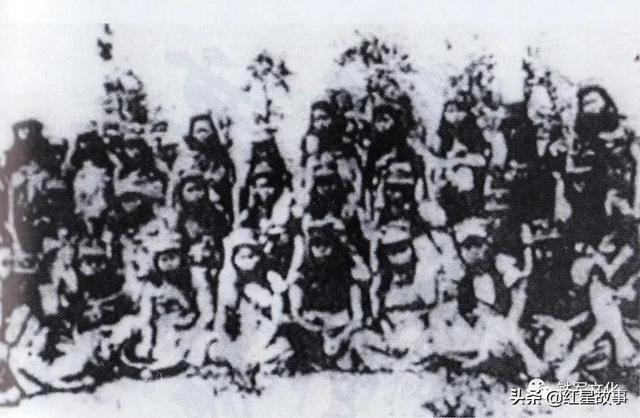 海南岛战役作战图简单解析，海南岛战役作战图解析简介