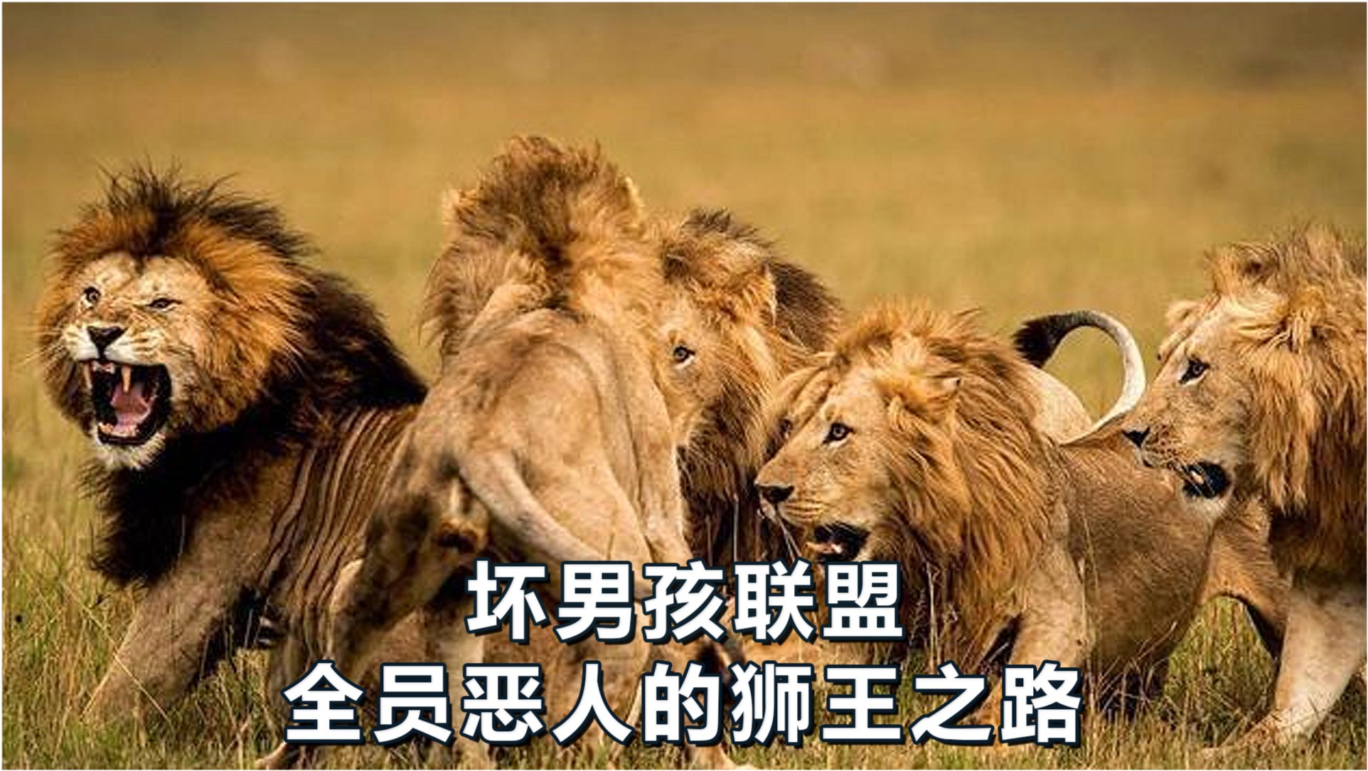 四不像图王中王，揭秘彩票背后的神秘力量与预测之道，揭秘彩票背后的神秘力量与预测之道，四不像图王中王探秘之旅