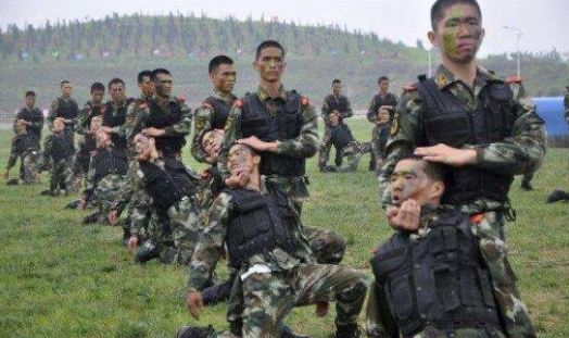中国特种部队真实排名探究，中国特种部队真实排名深度探究
