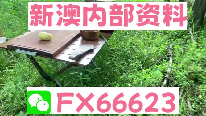 新澳内部资料精准一码