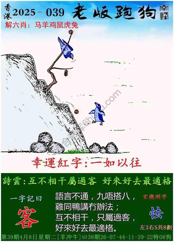 数字组合的魅力与策略