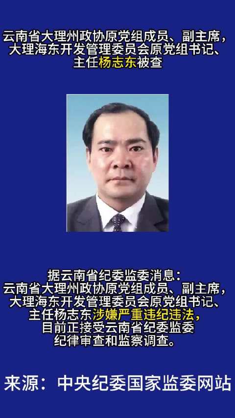 最新公告