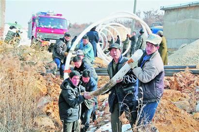 最新消息关于乳山市唐家沟金矿的进展与前景，乳山市唐家沟金矿最新进展及前景展望