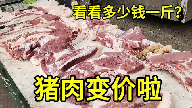 今日猪肉价格解析——多少钱一斤？，今日猪肉价格解析，一斤猪肉究竟多少钱？