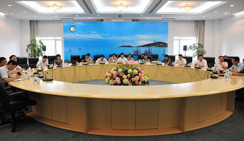 国家防总办公室，守护国家安全与民生的重要力量，国家防总办公室，守护国家安全与民生的坚实后盾