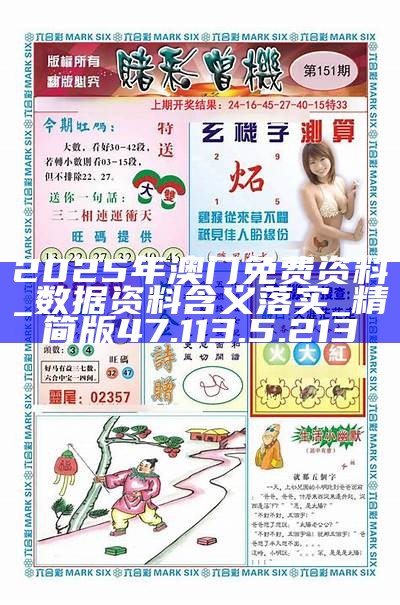 未来机遇与挑战的探索