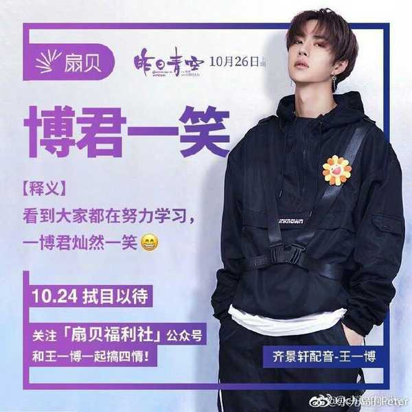 王中王一肖中特资料深度解析，王中王一肖中特资料深度解读