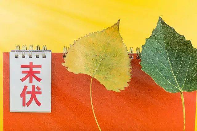 今天是末伏第一天——探寻中国传统节气中的特殊时刻，末伏首日探寻中国传统节气特殊时刻