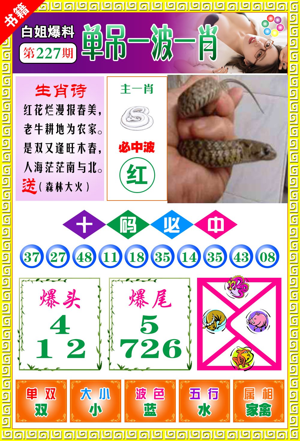 香港生肖预测