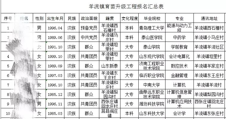 揭秘阅兵中的装备方队，32个方队都有哪些亮点？，阅兵揭秘，装备方队亮点解析，32个方队精彩展示！