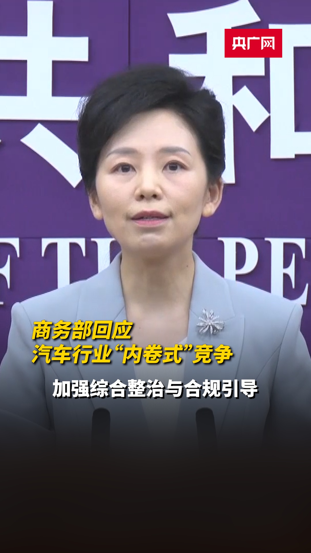 央视四套评论员全阵容，深度解读新闻背后的故事，央视四套评论员全阵容深度剖析新闻背后的故事