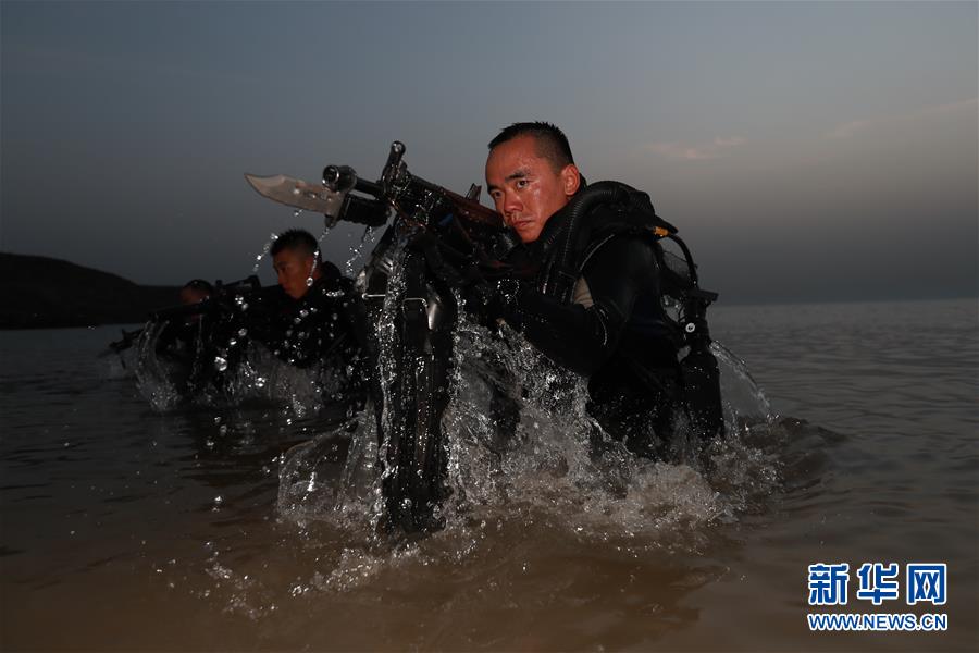 何龙蛟龙突击队，铁血团队的荣耀与传奇，何龙蛟龙突击队，铁血团队的荣耀与传奇故事