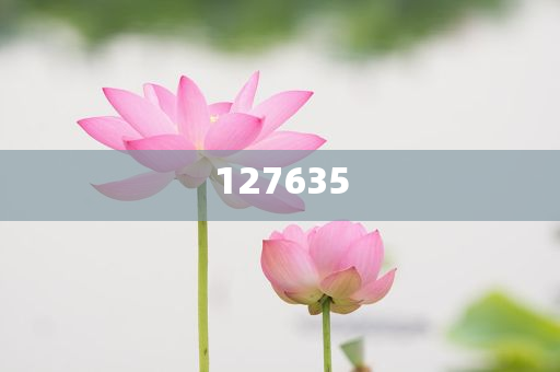 揭秘精准新传真背后的秘密，解码数字组合77777与88888的力量，揭秘数字组合力量，精准新传真背后的秘密，解码77777与88888的神秘力量