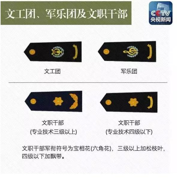 军衔胸标图解，揭示军队等级与荣誉的象征，军衔胸标详解，军队等级与荣誉的象征图解