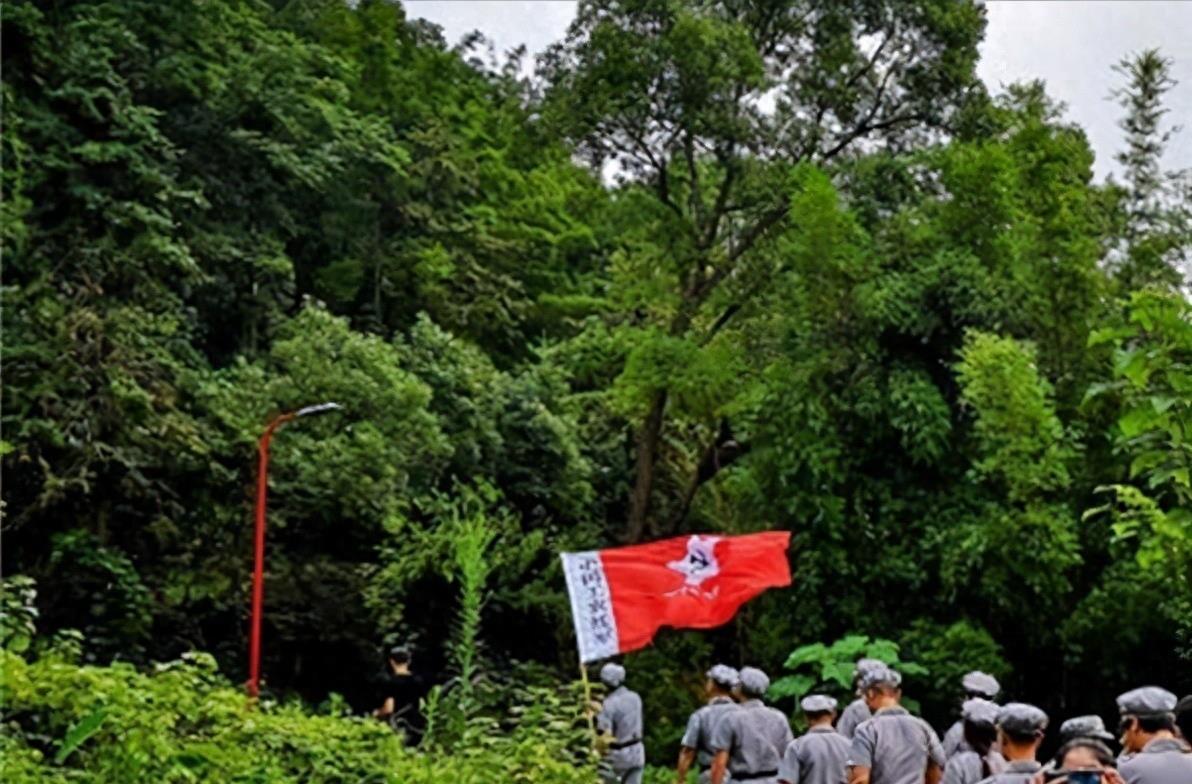 关于十三集军的探讨，十三集军深度探讨