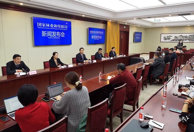 新闻发布会一般在哪里开展，地点选择与活动特性，新闻发布会地点选择与活动特性，揭秘活动举办地的选择之道