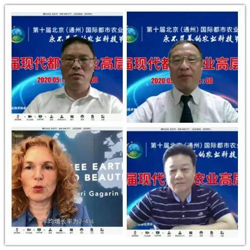 新闻中提到的全球最富500人，财富格局与影响分析，全球最富500人财富格局的影响分析及其展望