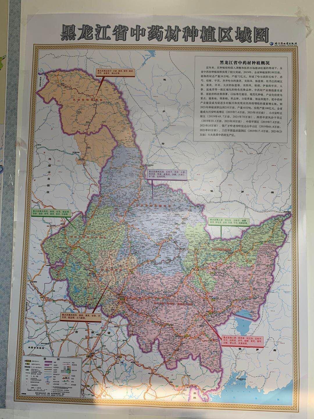 香港资料大全，探索未来的香港蓝图（至2025年），香港未来蓝图探索，至2025年资料大全全解析