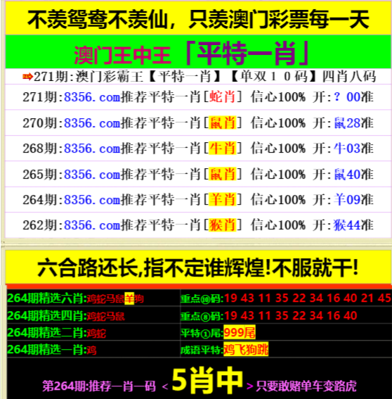 深度解析与预测展望